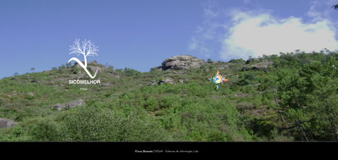 23Soft - Desenvolvimento Web